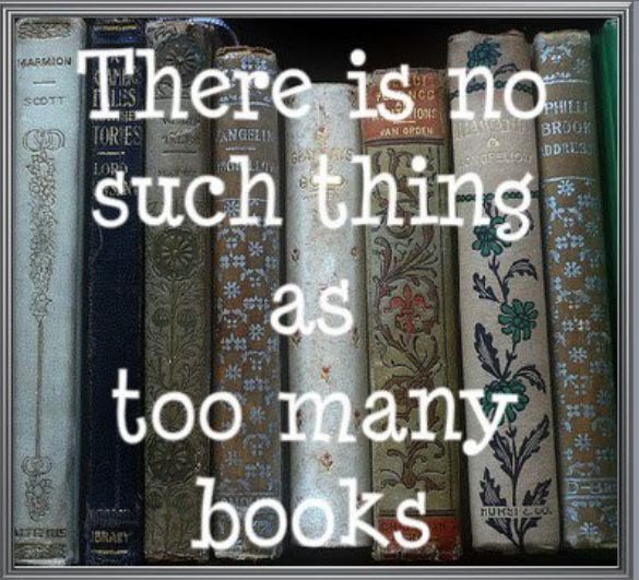 There is no such thing as too many books