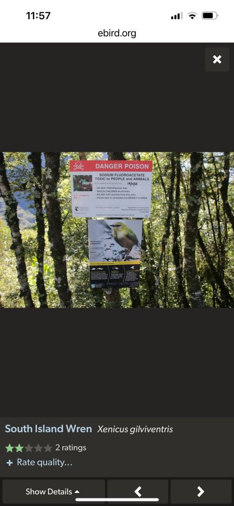 An interpretative sign, with a photo of a Rock Wren. 