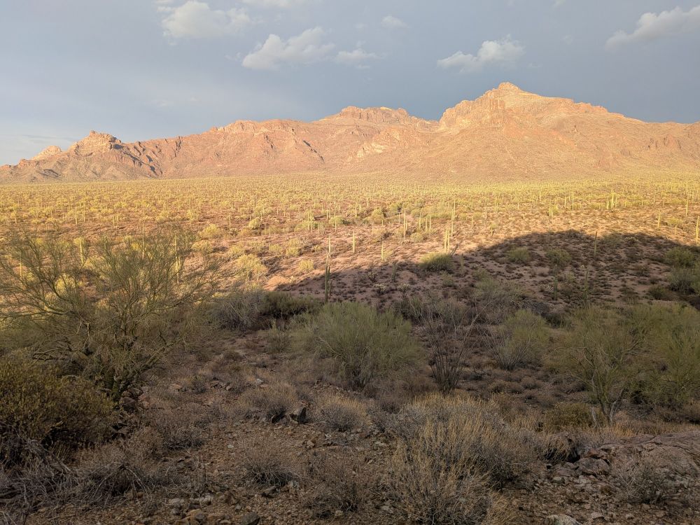 Ajo Mountain at sunset in Organ Pipe Cactus National Monument, Arizona