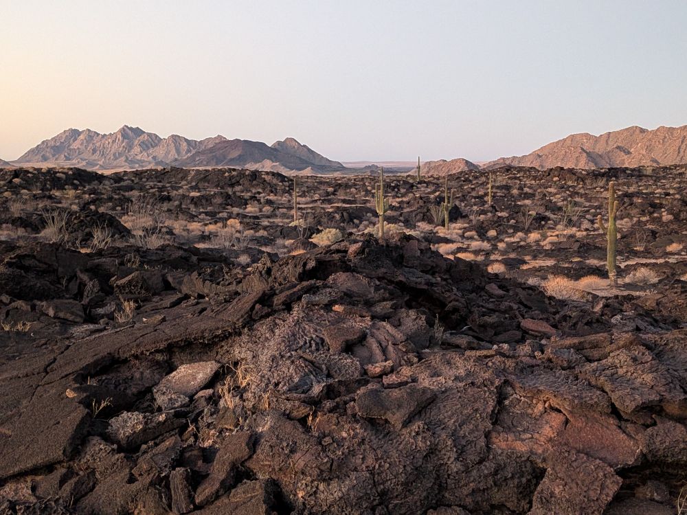 Lava flow in Reserva de la Biosfera El Pinacate y Gran Desierto de Altar, Sonora, with some saguaro cacti scattered throughout 
