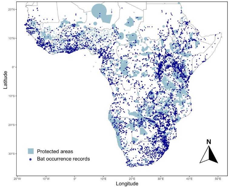 Sub-Saharan African protected areas (n = 7875) and bat occurrence records (n = 16907) of the 263 sub-Saharan bat species. Protected areas arefrom the December 2024 version of the World Database on Protected Areas layer (UNEP-WCMC & IUCN, 2024), and occurrence records were extracted from theAfrican bat database. (Figure 1 in our Conser Biol paper)