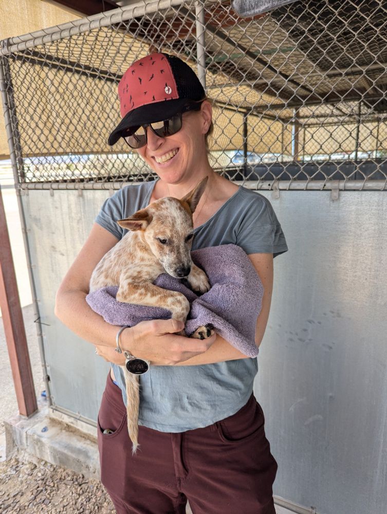 I am holding a roughly 3 month old red heeler mix pup, Bruce, at the humane society 