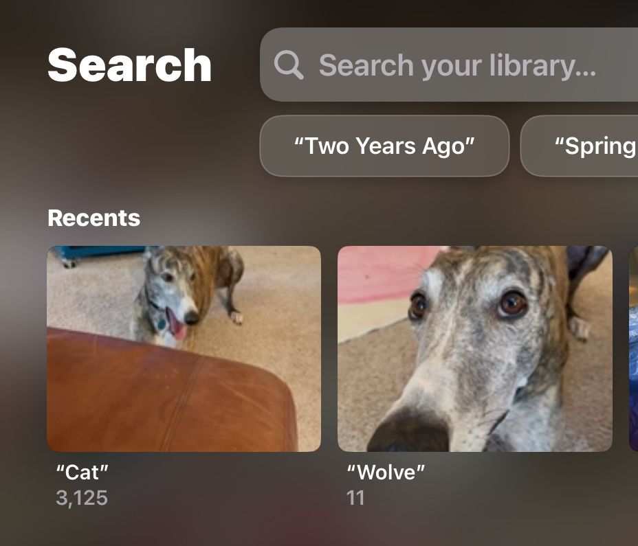My photo app, identifying my brindle greyhound as a cat in a picture where she’s licking her nose, and a ‘wolve’ in a picture where she’s looking at me sideways 