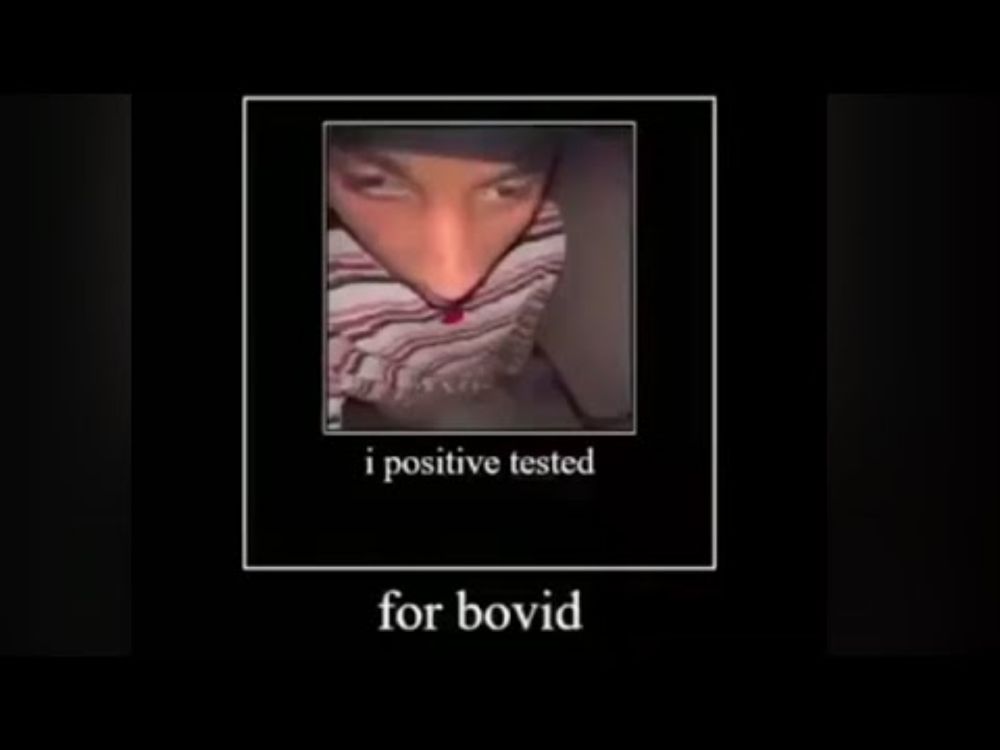 I positive tested for bovid