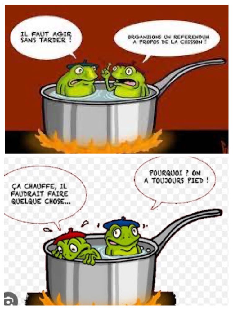 2 dessins illustrant la fable de la grenouille (qui chauffe dans une casserole sans réagir)
1- il faut agir sans tarder, dit une grenouille. Sa copine dans la casserole qui chauffe répond: organisons un référendum sur la cuisson!
2- ça chauffe, dit la grenouille au béret rouge. Pourquoi, lui répond la grenouille au béret bleu. On a toujours pied!