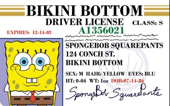 Bikini Bottom Drivers License 
Expires: 12/14/03 A1356021
Spongebob Squarepants 
124 Conch St.
Bikini Bottom 
Sex: M Hair: Yellow Eyes: Blue
Ht: 5'4" Wt: 1oz DOB: 07/14/1986
