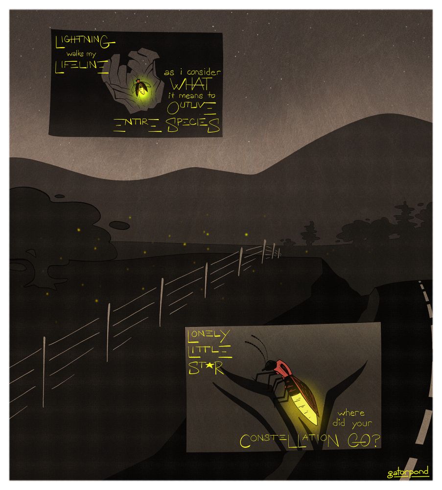 illustration of a field near a road, a barbed wire fence roping part of it off. in the distance are hills/mountains and trees/fields. it is night time, with stars in the sky and glowing green fireflies dotting the landscape. two inset images are on the page. the top left has an image of a glowing firefly in someone's hands. the bottom right has an image of a firefly perched at the tip of blades of grass. words on the page read: "lightning walks my lifeline / as i consider what it manes to outlive entire species / lonely little star / where did your constellation go?"