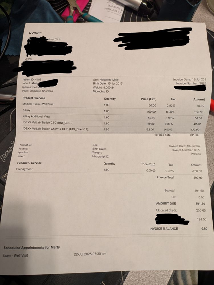 vet bill showing the cost of x-rays and bloodwork done today at 391 dollars. his next exam is set for the 22nd, which is when the ultrasound will be done. 