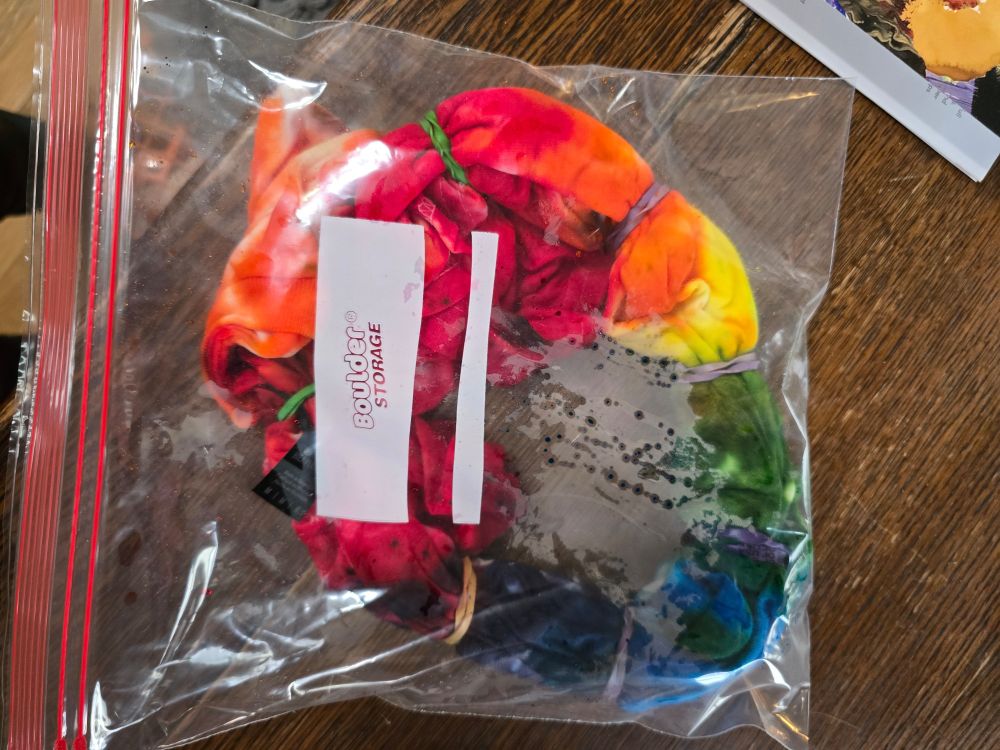 A plastic zip bag with a t-shirt soaked in dye and segmented with rubber bands sitting on a wooden table
