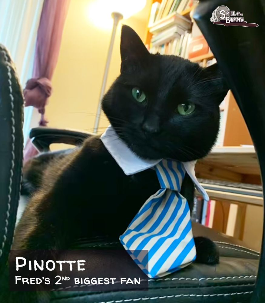 Photo of Pinotte, a black cat wearing a tie and shirt collar.