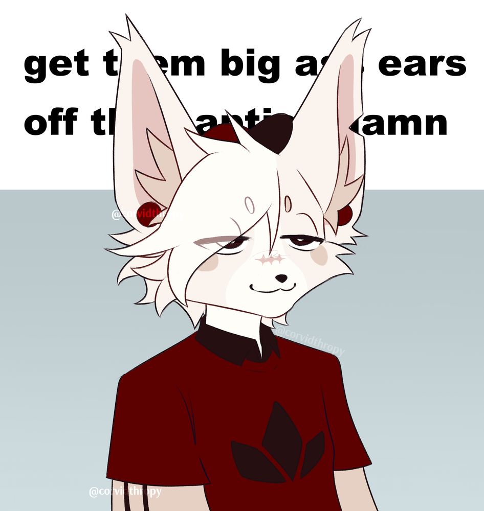 A white fennec-arctic fox mix staring away from the viewer in a 3/4 view. His eyes are half-lidded and his ears cover text reading "get them big ass ears off the caption damn".