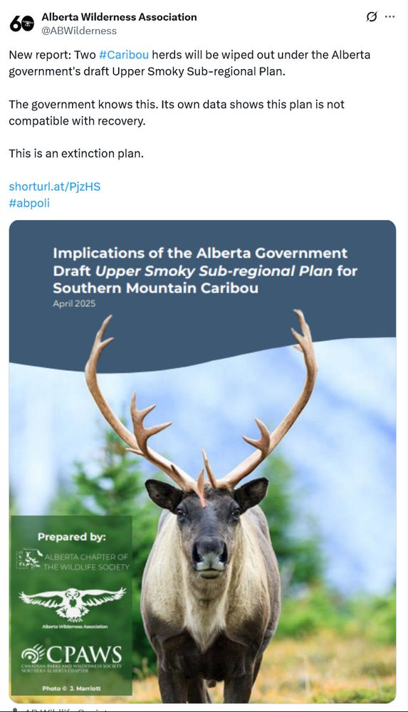 Alberta Wilderness Association
@ABWilderness
New report: Two #Caribou herds will be wiped out under the Alberta government's draft Upper Smoky Sub-regional Plan.

The government knows this. Its own data shows this plan is not compatible with recovery.

This is an extinction plan.

https://shorturl.at/PjzHS
#abpoli
 Implications of the Alberta Government Draft Upper Smoky Sub-regional Plan for Southern Mountain Caribou