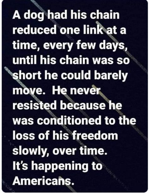 A dog has his chain reduced one link at a time, every few days until his chain was so short he could barely move. He never resisted because he was conditioned to the loss of his freedom slowly, over time. It's happening to Americans.