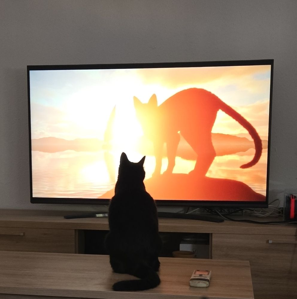 Eris, mi gata negra, sentada en la mesita de centro viendo en la televisión  la peli "Flow". En la pantalla, la silueta de gatito protagonista.