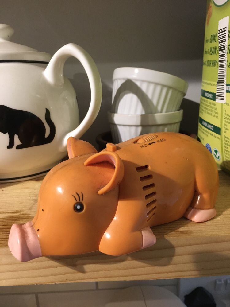 A pink plastic pig. It hoovers crumbs up through its snout. It’s awesome.