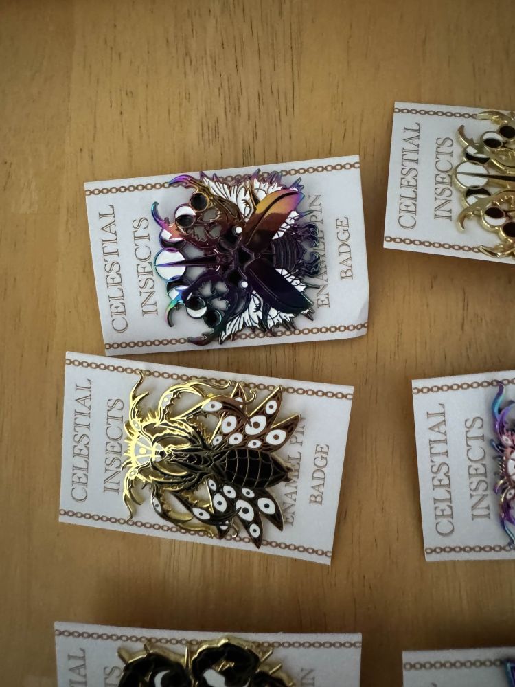 Pins shaped like strange, angelic insects. Some shine in a dark rainbow of colors. Others are gold. This one is a beautiful beetle with huge jaws, crowned with the phases of the moon.
