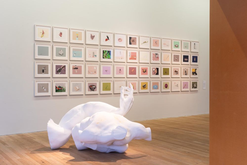 A photo of a gallery featuring a large styrofoam sculpture in the foreground and a wall of pastel drawings in the background. 