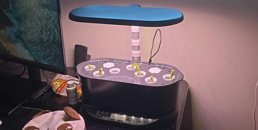 Green onions in a 9-pod aerogarden sit on a desk next to a computer monitor