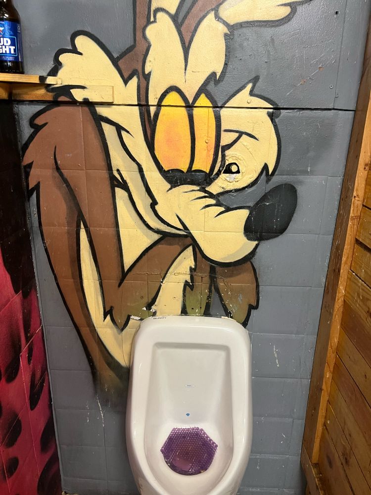 Wile E. Coyote staring very intently at a urinal 