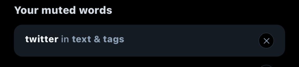 Screenshot of muted word for Bluesky which is ‘Twitter’