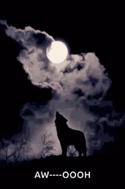 a silhouette of a wolf howling at a full moon with aw-oooh written below it