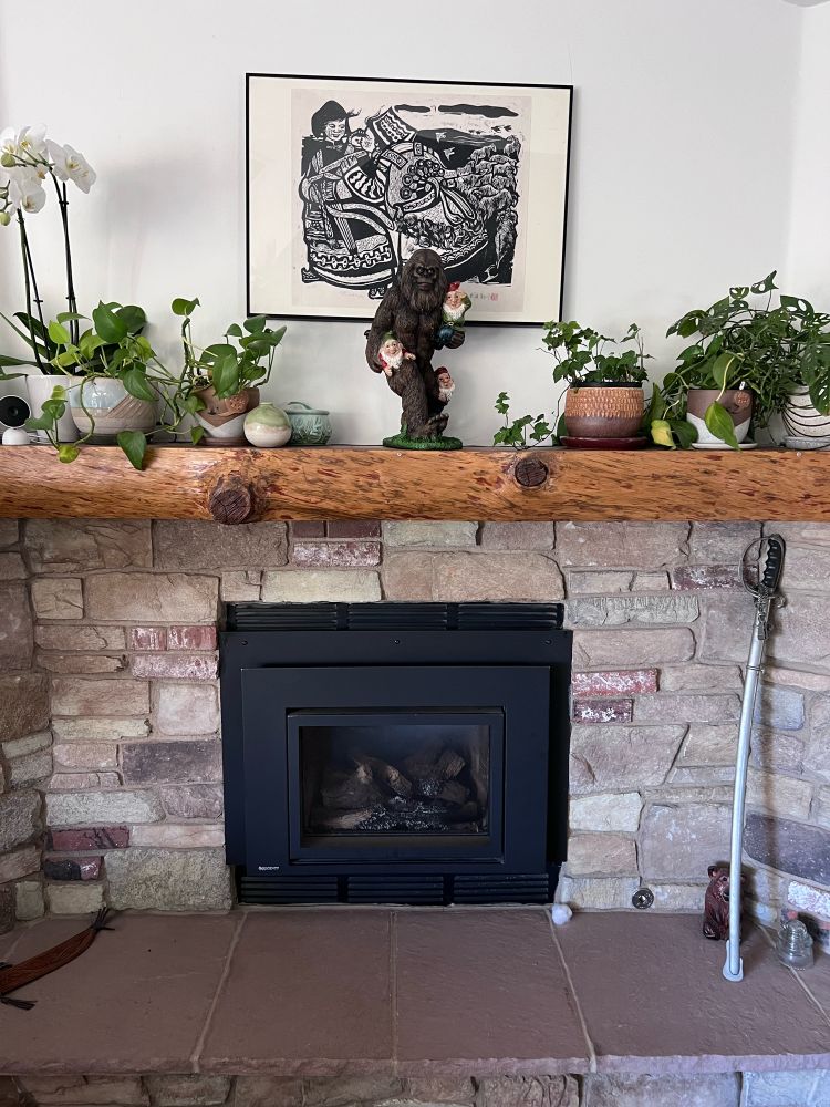 Fireplace with plants and a figurine on the mantle