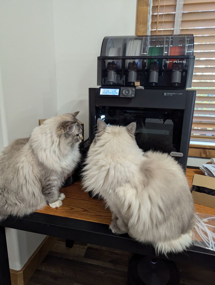 Two cats watching a 3D printer whilst plotting shenanigans and chaos