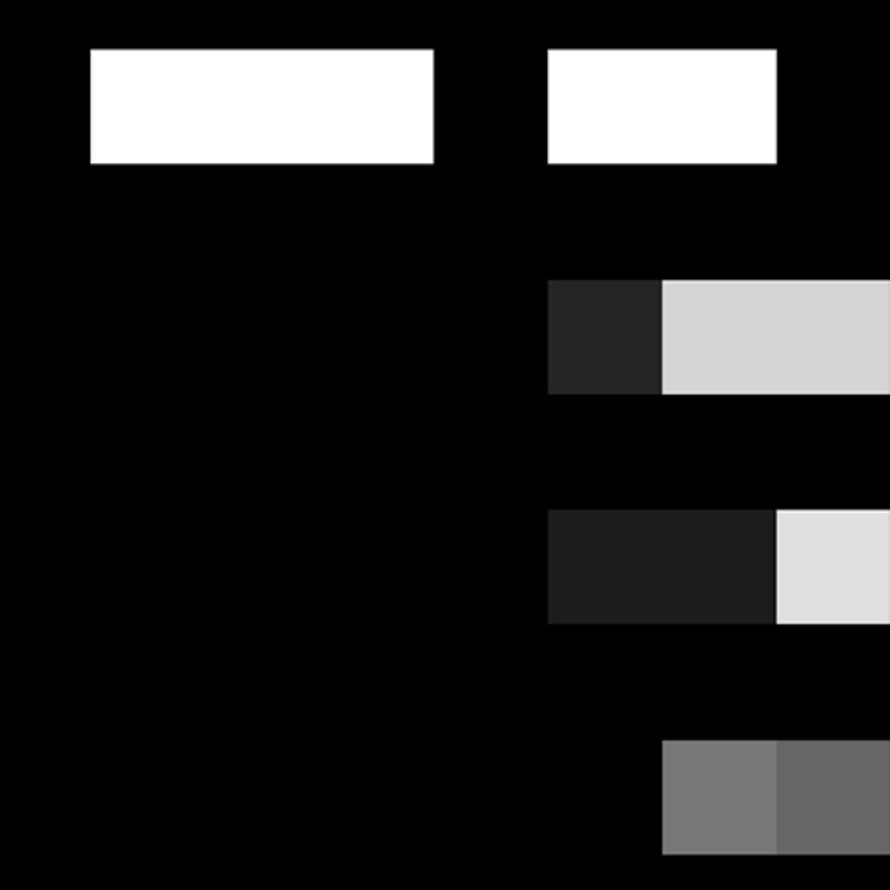 Yeah Right! Museum | Numeral Systems Counting