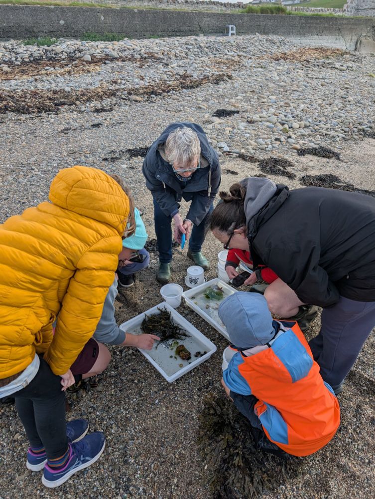 Our group checking out the finds in a tray.