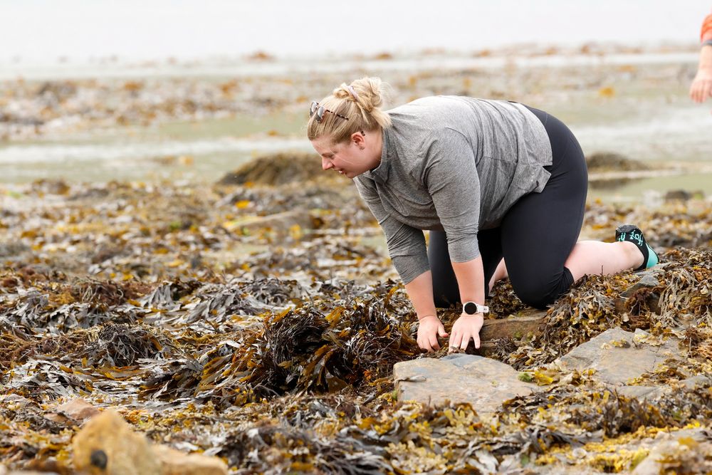 A tour participant searching a seaweed covered Rockpool.