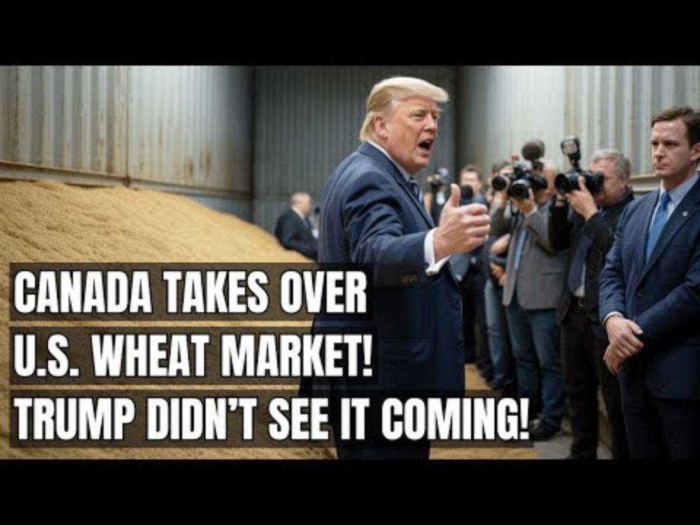 Buyers ABANDON U.S. Wheat — Canada STRIKES GOLD as Shipments REJECTED! Trump's Tariffs, Trade War