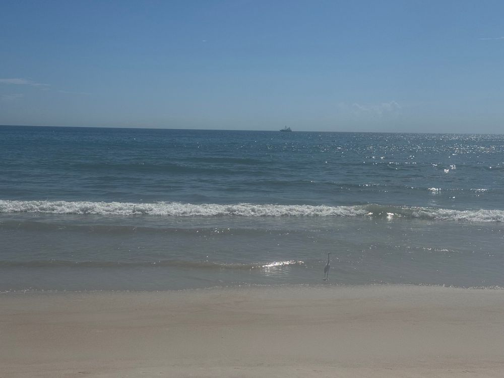 A view of the ocean from Daytona Beach, FL. 