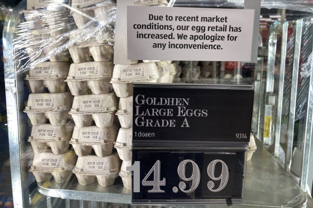Trump made eggs $14.99 that’s terrible. 