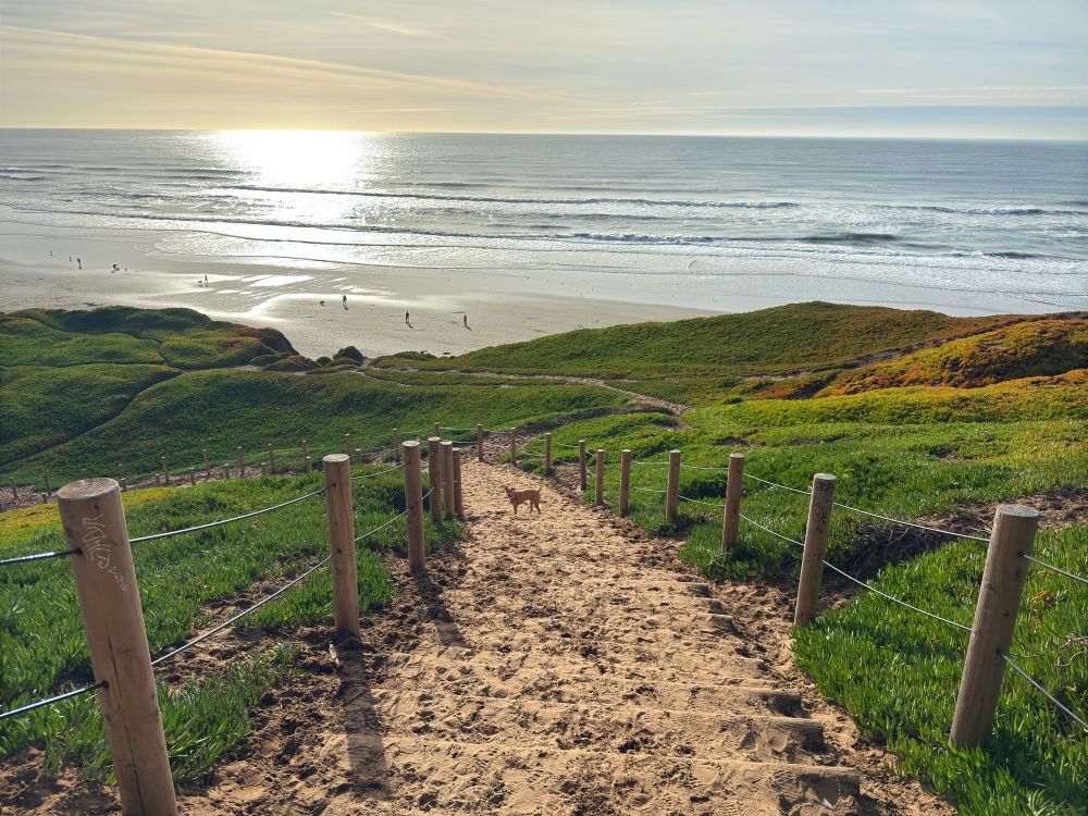 Looking down the sandy staircase to the beach at fort funston, the ocean and beach in the background, my dog Bobby standing happy in the distance down the stairs looking back at me