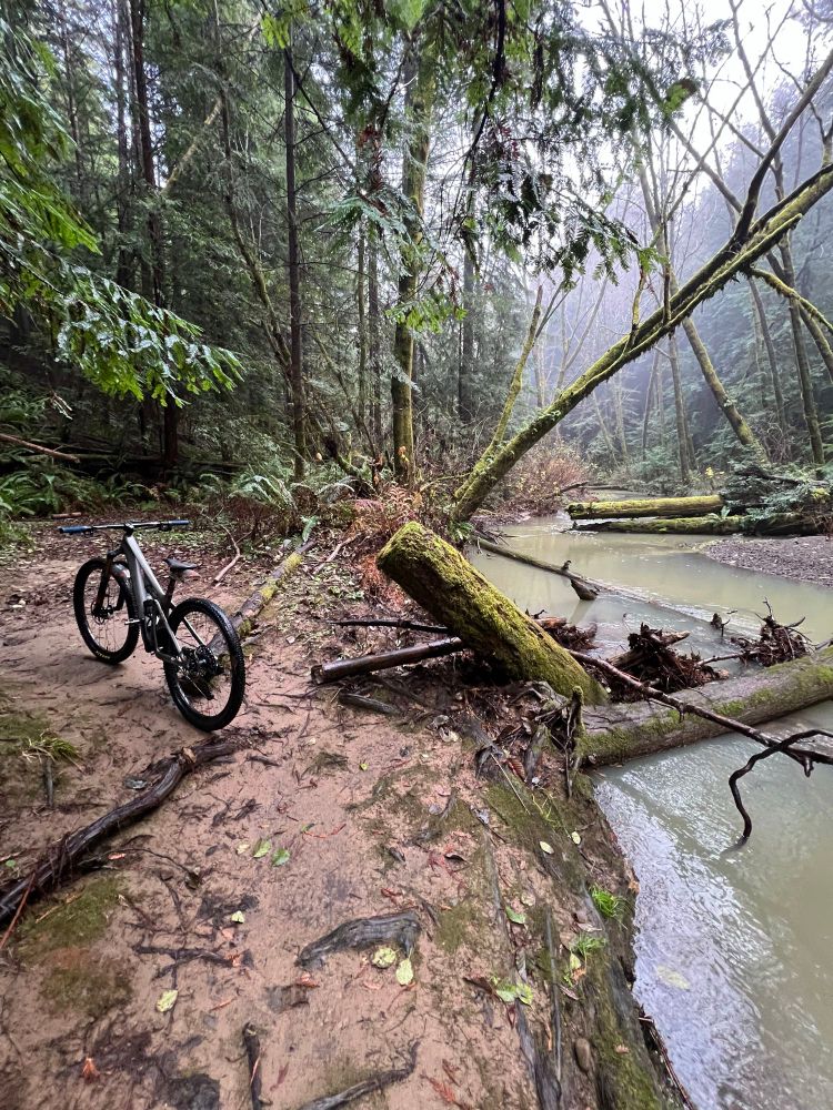 A bike and a river after the rain 🌧️.