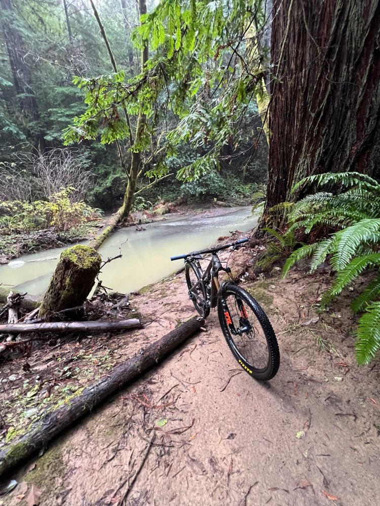 A bike and a creek after the rain 🌧️.
