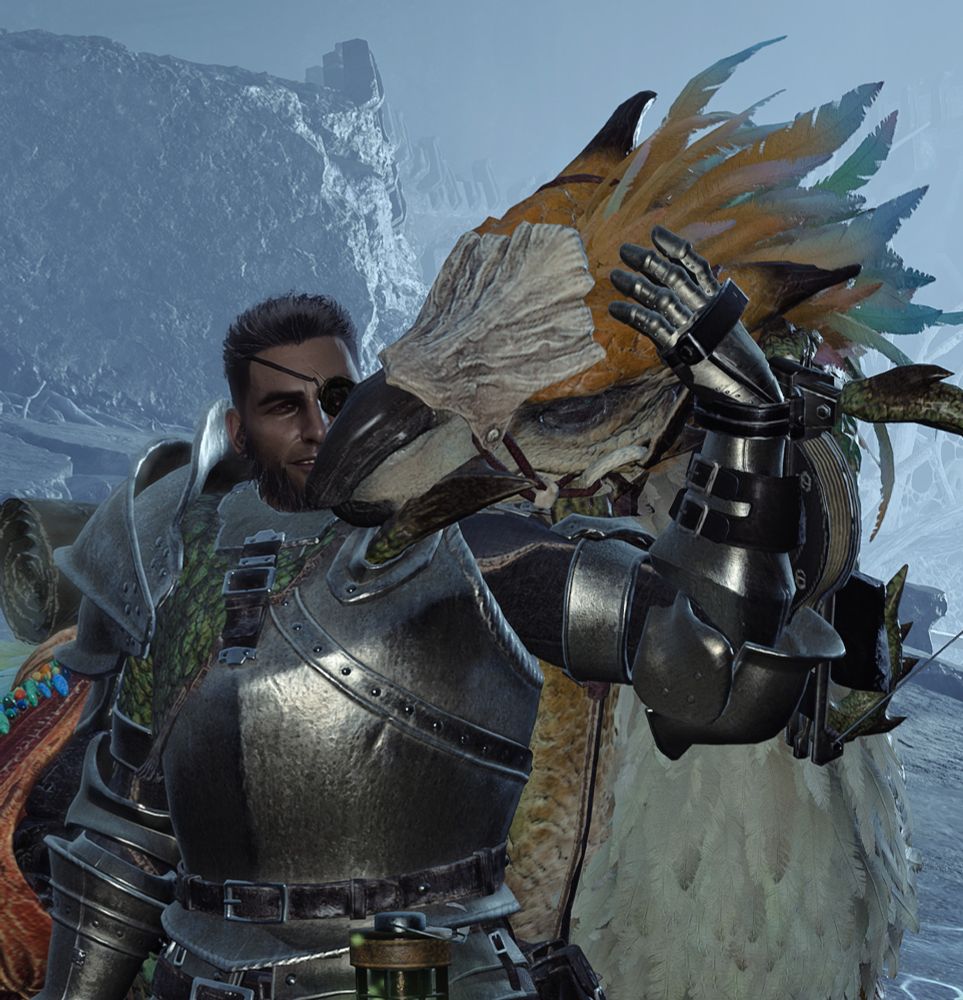 Screenshot of Monster Hunter Wilds with a hunte rin armor hugging his Seikret's head snuggling in his neck.