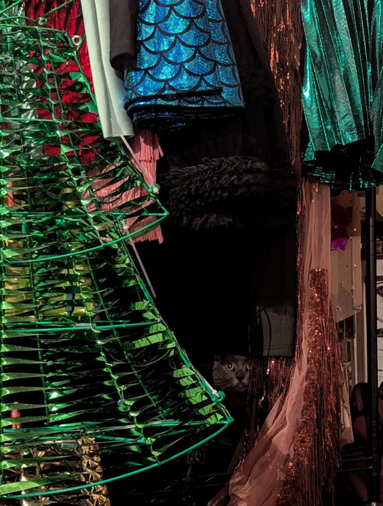 A radiant gray cat with incandescent golden eyes is seen hiding behind some clothes that include a brown sequined gown, some Blue mermaid pants with black outline, and a vibrant green dress. There's also a fluffy black petticoat and a pink Fringe dress. You can also make out the outline of a unique metallic Christmas tree
