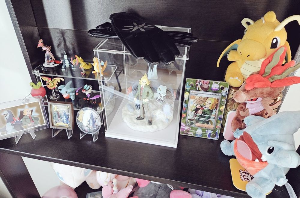 collection of hassel pokemon merchandise