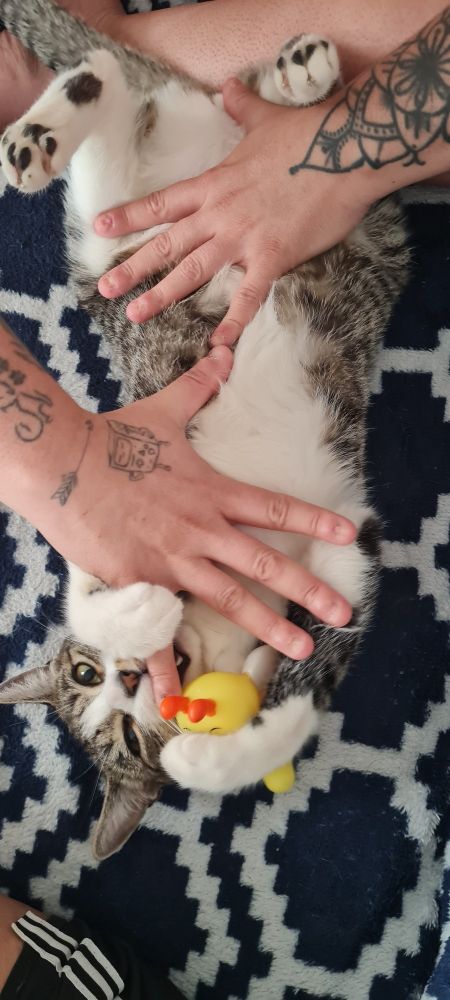 Minha filha já tá desse tamanhao, aí. E nem tem 1 ano ainda.