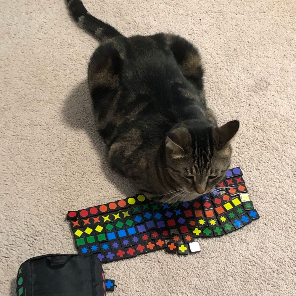 A tabby cat loafed on a beige carpet. He is displacing a rainbow-colored array of Quirkle tiles (black squares with various shapes and colors). His affront knows no bounds.