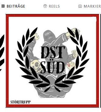 Diese Selbstdarstellung von DST aus einem digitalen Netzwerk zeigt die Gewaltbereitschaft der Gruppe. Zu sehen ist, wie ein Mann mit schwarzer Maske einen anderen zusammenschlägt. Inmitten eines Lorbeerkranzes steht "DST Süd". Am roten Bildrand wurde noch die Bezeichnung "Störtrupp" hinzugefügt.