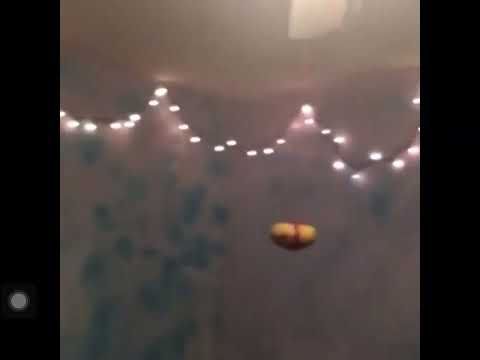Original A Potato Flew Around My Room Song