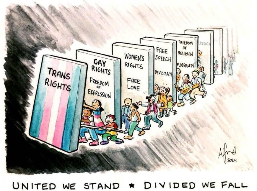 People trying to hold up a falling block labeled "trans rights," with more people behind them. Behind the block, like dominoes waiting to fall, are blocks labeled gay rights, women's rights, free speech, and freedom of religion. Captioned "United we stand, divided we fall." 
