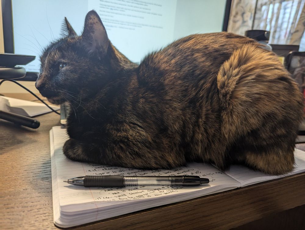 A sleek, sleepy tortoiseshell cat rests in "loaf mode" across an open notebook. Cat, notebook, and a nearby pen lie on a wooden desk with a computer monitor in the background.