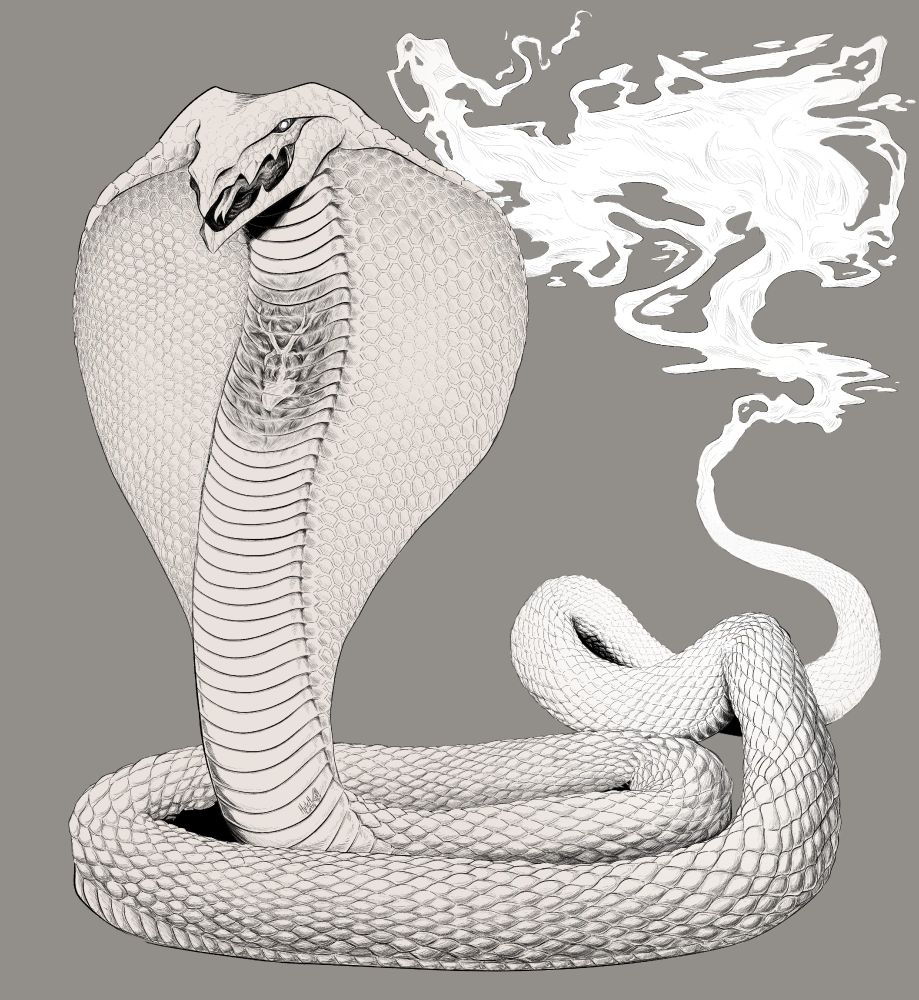 commission of a serpent with a cobra hood and a visible heart