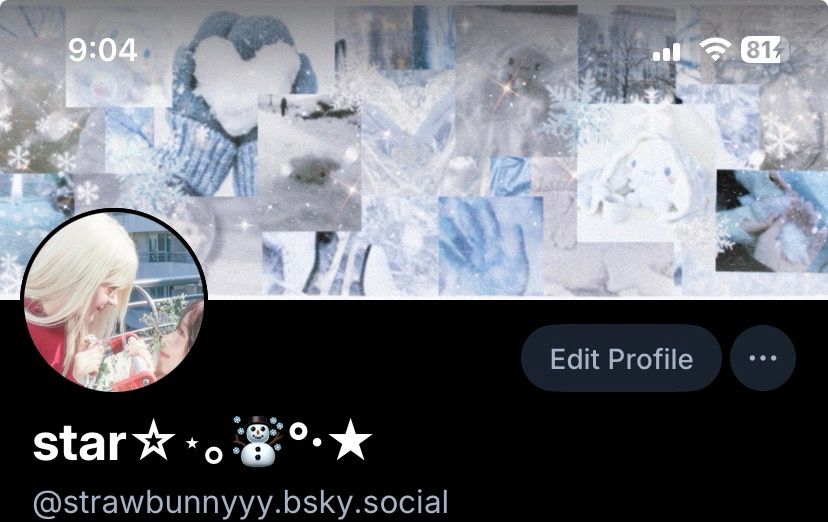 my layout 