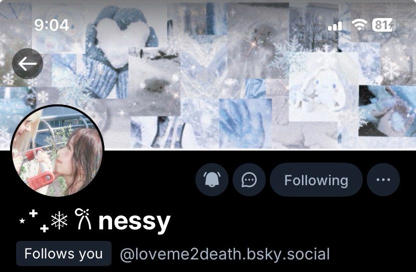 nessa's layout 