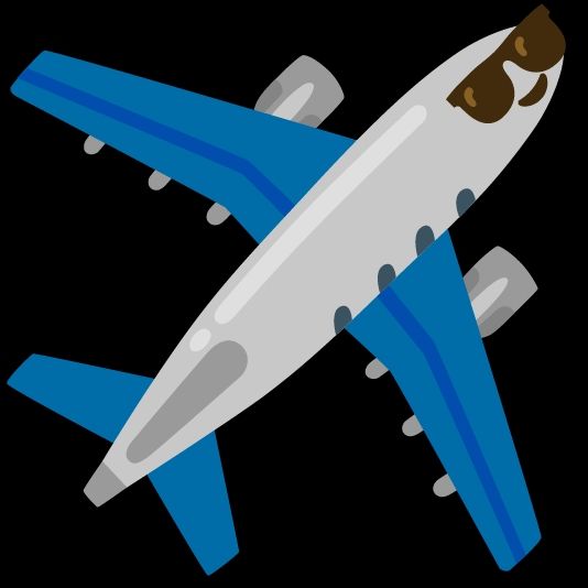 A plane wearing sunglasses 