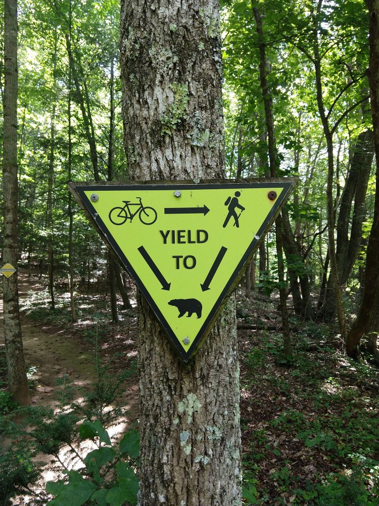 A yellow triangular sign on a tree in the forest defining priority for yielding on the trail. Cyclists yield to hikers. Both cyclists and hikers yield to bears.